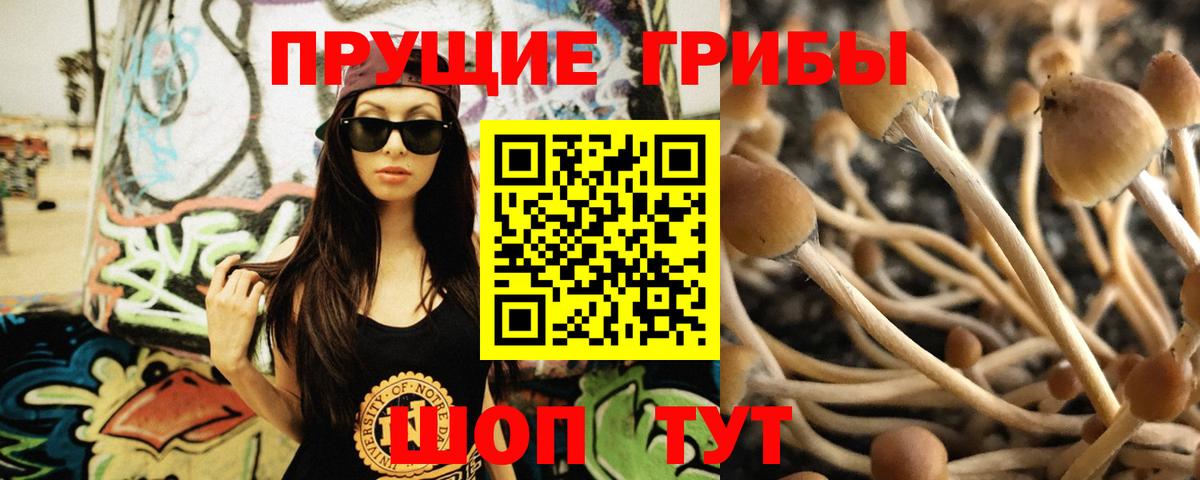 Ижевск  Псилоцибиновые грибы MAGIC MUSHROOMS  Вход с VPN 